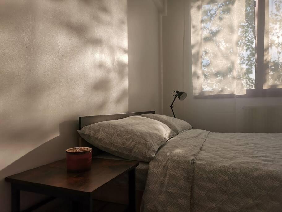 Apartament Gulliver In Centrul Vechi Iasi Exterior photo