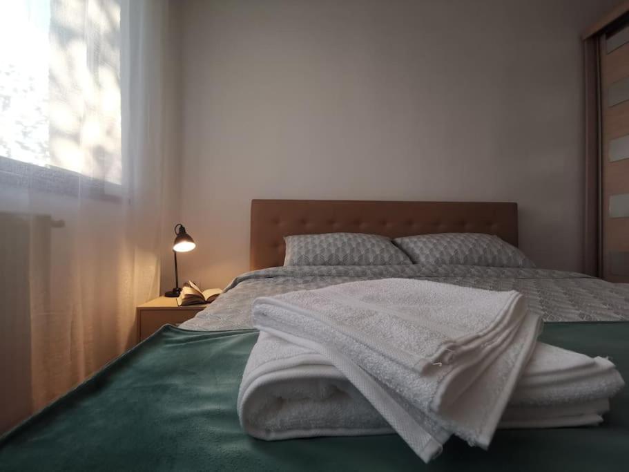 Apartament Gulliver In Centrul Vechi Iasi Exterior photo