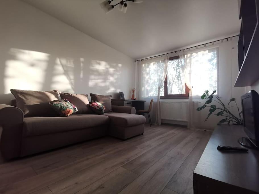 Apartament Gulliver In Centrul Vechi Iasi Exterior photo